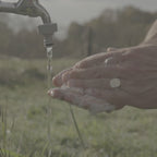 Hand & Body Wash, Peppermint & Dark Cedar